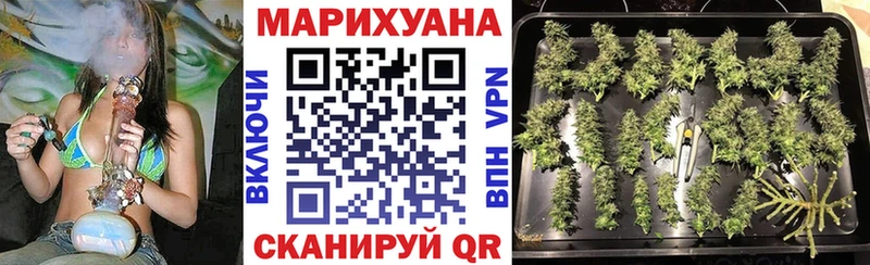 APVP Олонец