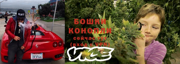 стафф Мегион