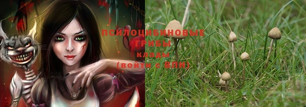 мяу мяу мука Медвежьегорск