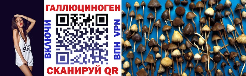 Галлюциногенные грибы прущие грибы  МЕГА ссылка  нарко площадка официальный сайт  Олонец 